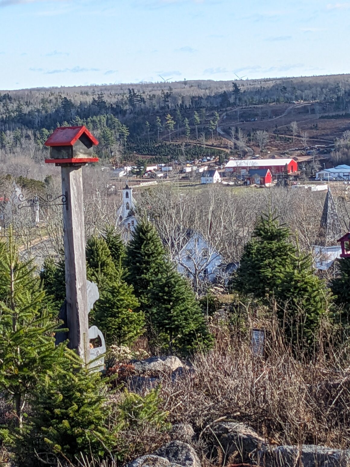 Ruby's Spot-Ruby's Trail