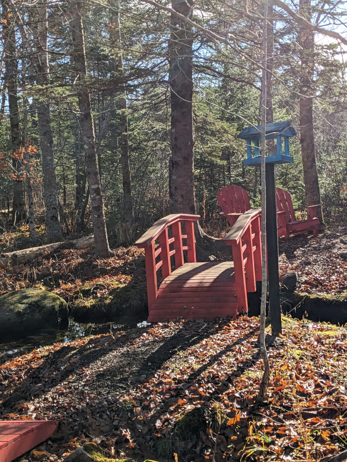 Bridge over a little side trail on Ruby's Trail
