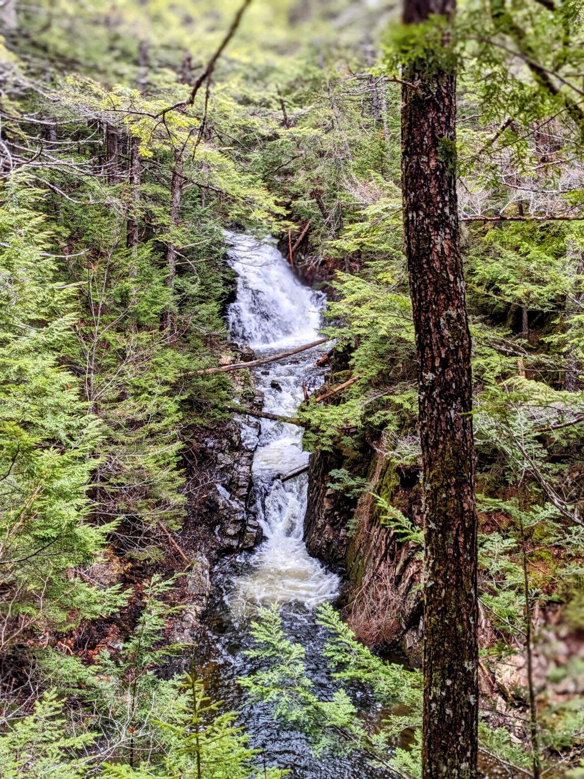 Dawson Brook Falls