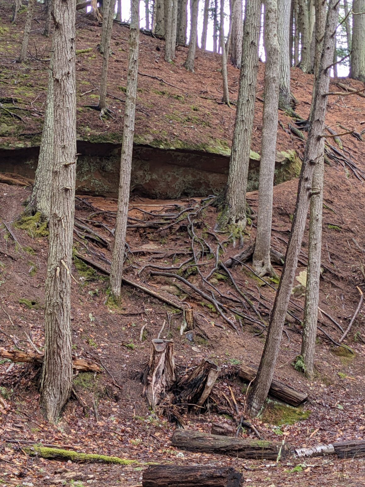 Kentville Ravine