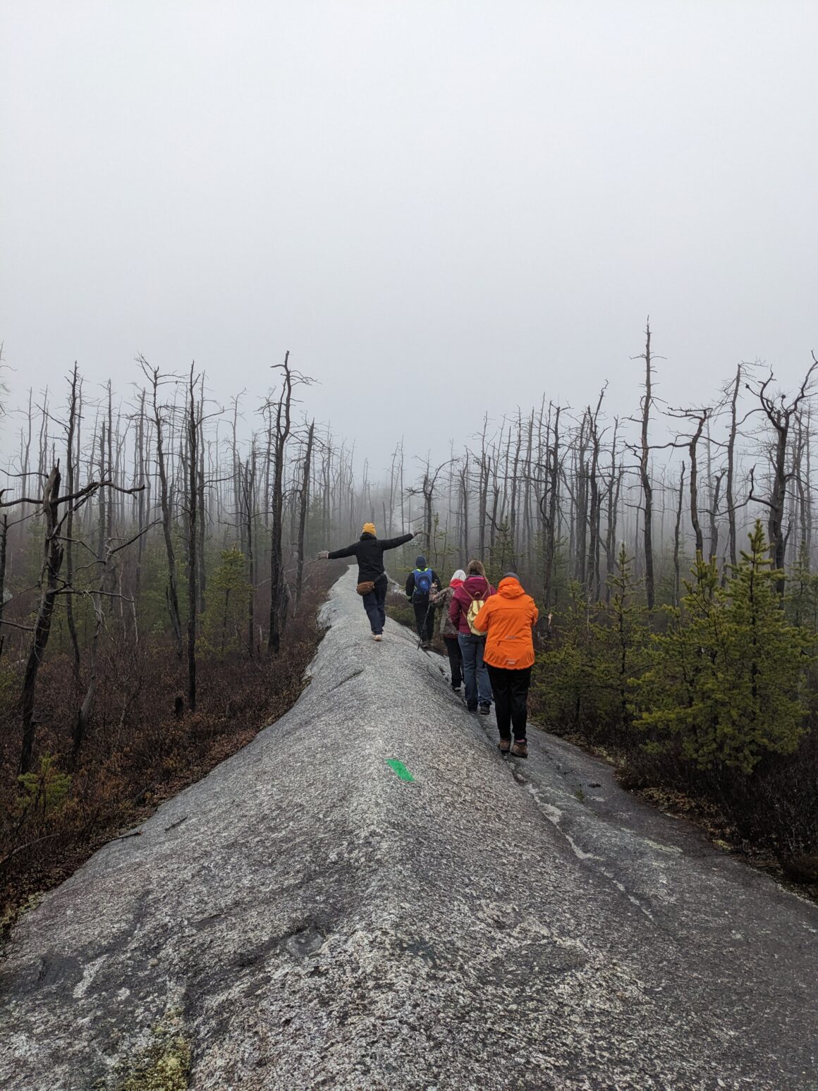 Osprey Trails Attic and Lous Basement Spooky Granite hiking