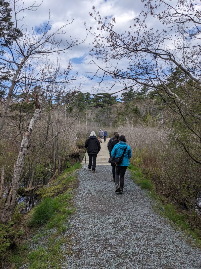 Hiking Along the Frog Pond Trail