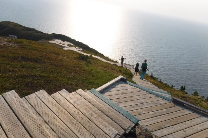 Leaf Watch Nova Scotia - Day Trips Skyline Trail, Leaf Watch