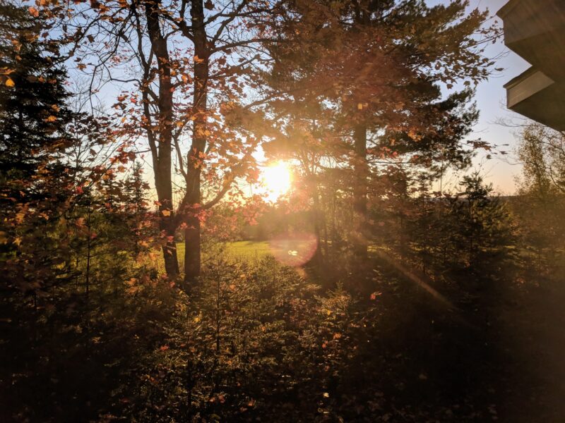Leaf Watch Nova Scotia - Day Trips Antigonish Leaf Watch
