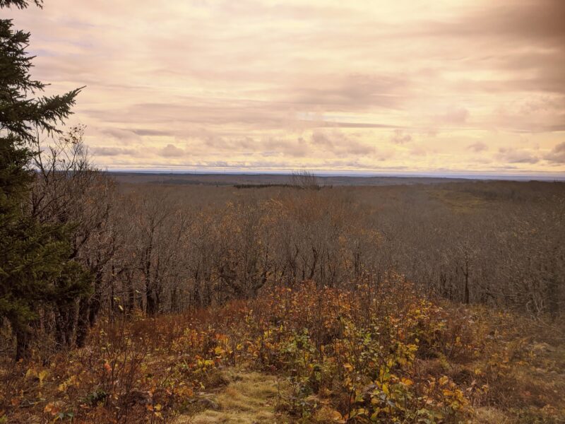 Top Of Rogart’s Mountain5 Favorite Fall Hikes