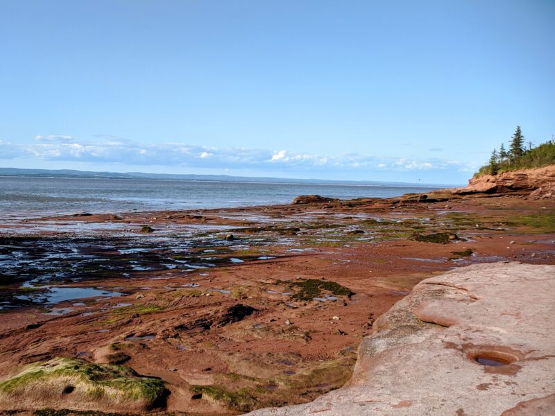 Leaf Watch Nova Scotia - Day Trips Burntcoat HeadLeaf Watch