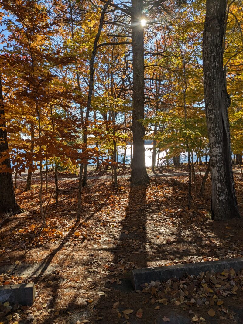 KejimkujikMoses Mountain My Five Favorite Fall Hikes