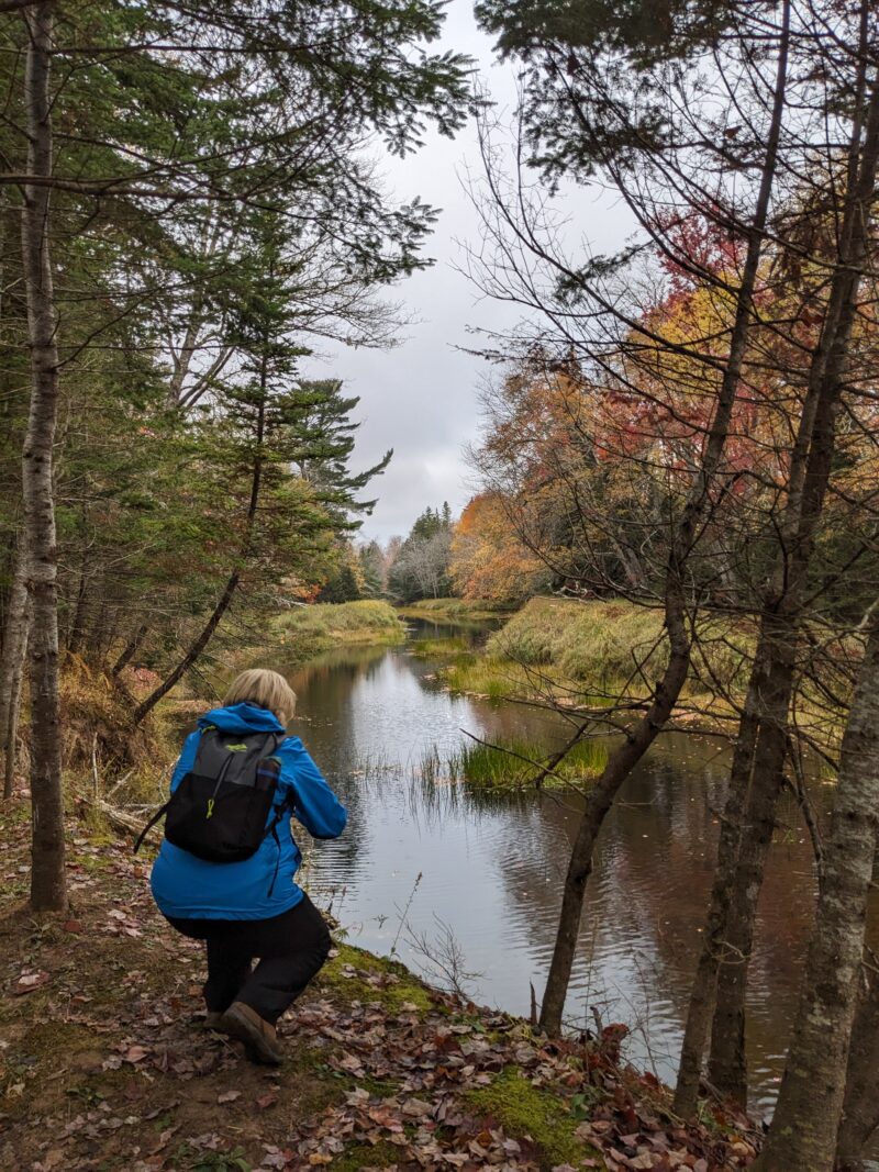 Pitcher Plant TrailMy Five Favorite Hikes