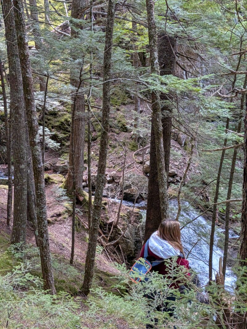 Hike to Horse Pasture Brook Falls Horse Pasture Brook Falls
