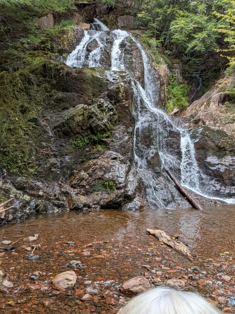 Hike to Horse Pasture Brook Falls Wentworth Falls