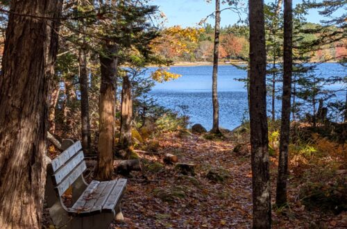 Lake Lawson Trail New Ross pxl 20261006 150714317